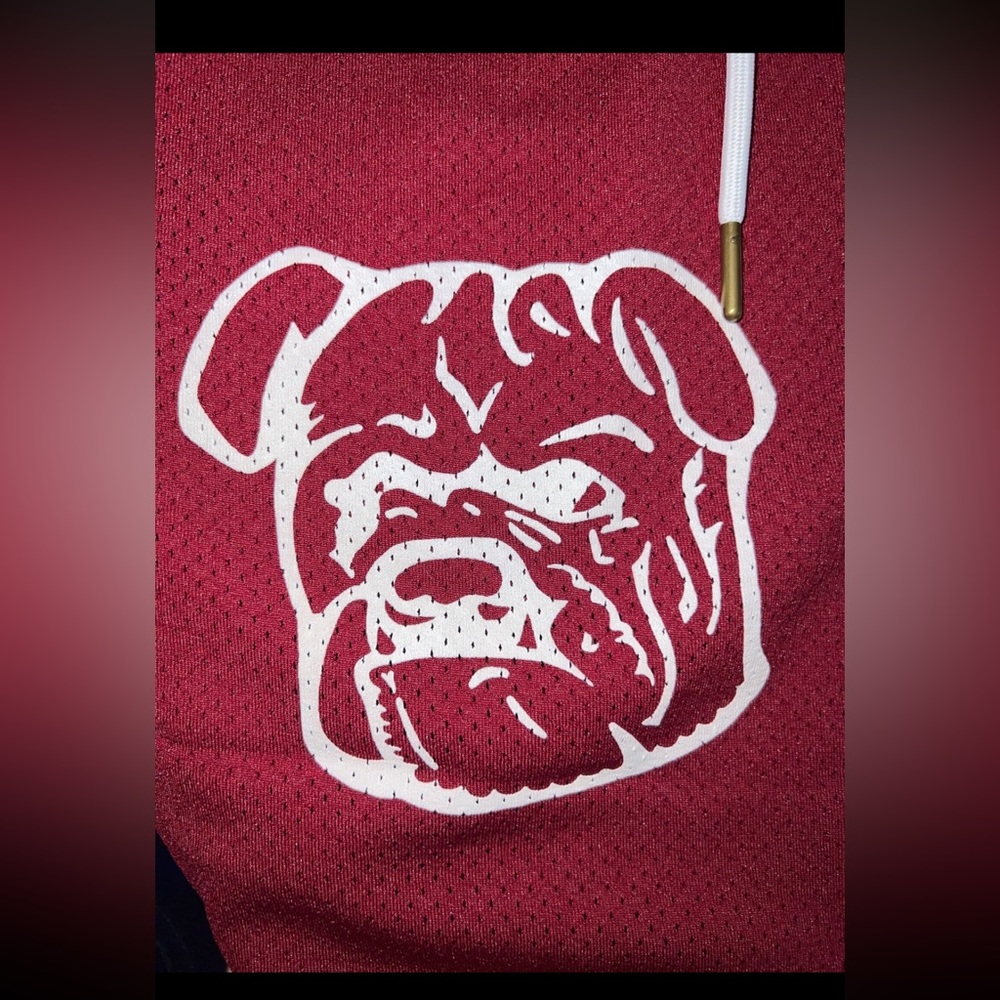 Ryoko Rain Lower Merion Bulldogs/Aces Shorts - Picture 2 of 4